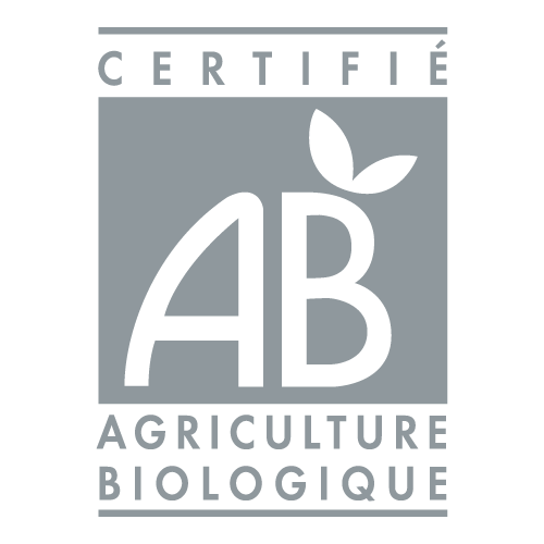 AB Logo Vector